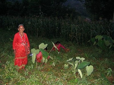 Bhakundebesi Schulbau 2007 127.jpg